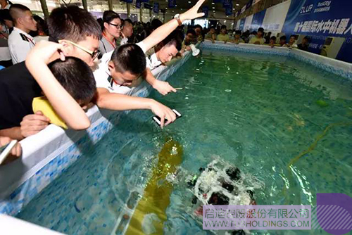 日韩人妻鲁交色情精品视频