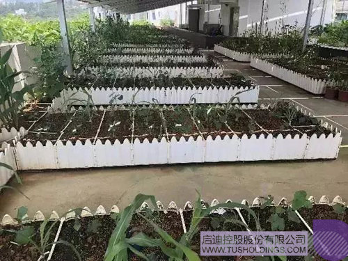 日韩人妻鲁交色情精品视频