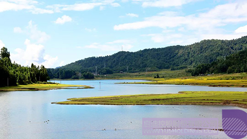 日韩人妻鲁交色情精品视频