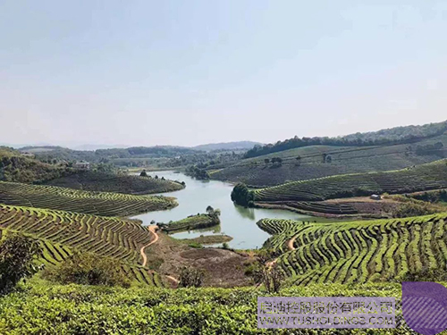 日韩人妻鲁交色情精品视频