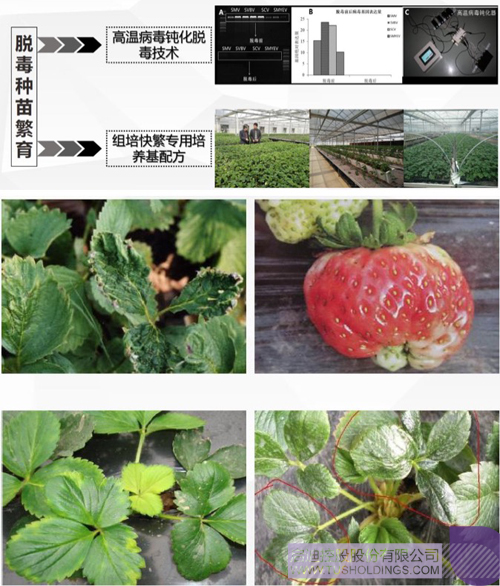 日韩人妻鲁交色情精品视频