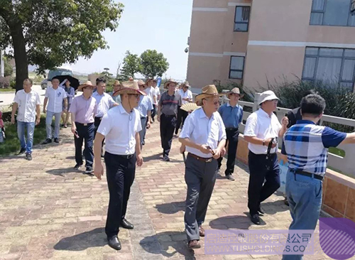 日韩人妻鲁交色情精品视频