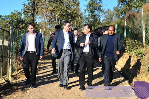 日韩人妻鲁交色情精品视频