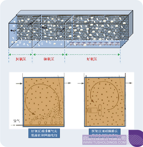 1710209569896796.jpg 3c.jpg