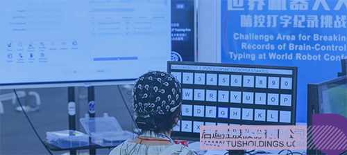 1735371612151529.jpg 未标题-3c.jpg